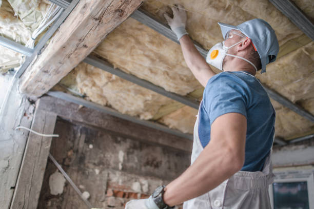 Types of Insulation We Offer in Latta, SC